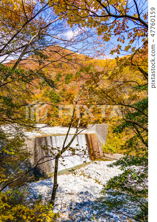 [Yamanashi Prefecture] Nishizawa Valley 47760159