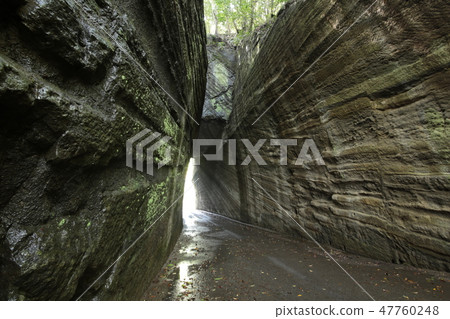 Tunnel of Lantern Saka Daishi Tunnel of Lantern Saka Daishi 47760248