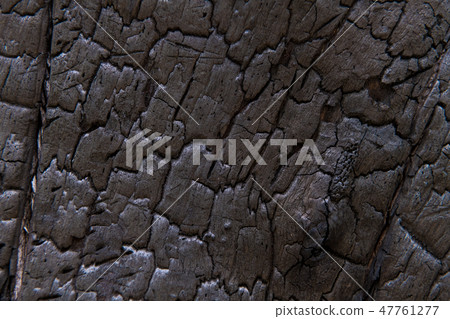 Burned tree trunk, closeup on wooden texture Burned tree trunk, closeup on wooden texture 47761277