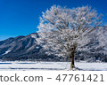 Hakuba village ice crystal 47761421