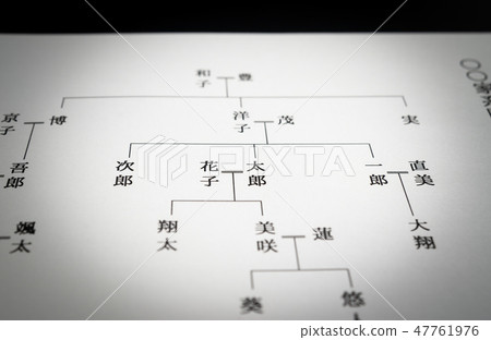 家譜樹血統親屬根 47761976