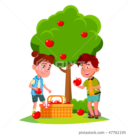 插图素材: kids harvest apples in basket near apple tree vector.