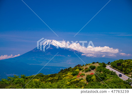 （靜岡縣）我從伊豆天際線想要的富士山 47763239