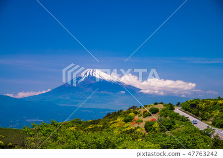 (靜岡縣)我從伊豆天際線想要的富士山 (靜岡縣)我從伊豆天際線想要的富士山 47763242