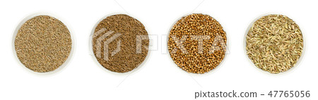 Anise, caraway, coriander and fennel seeds 47765056