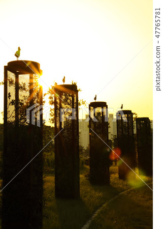 春天的陽光 47765781