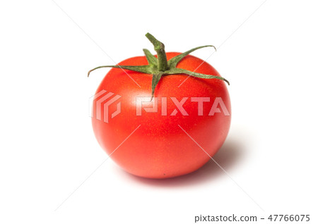 closeup of one fresh tomato on white background 47766075