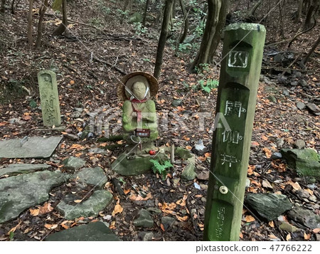 朝聖者的道路 47766222