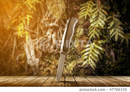 Swiss army knife 47766330