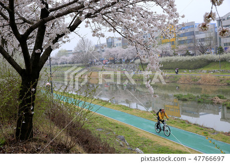 Bike walk Bike walk 47766697