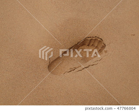 The foot of the sandy beach 47766804