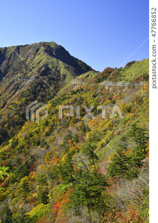 Jin-gumori和Nishiki的UFO線 Jin-gumori和Nishiki的UFO線 47766852