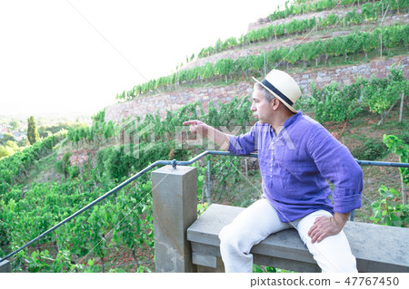 Man in straw hat sitting on bench in vineyard 47767450