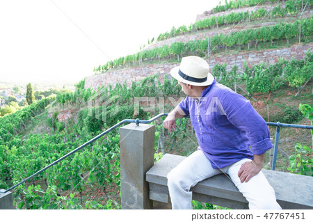 Man in straw hat sitting in vineyard on bench Man in straw hat sitting in vineyard on bench 47767451