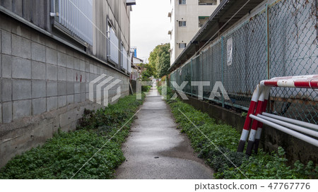 小路 47767776