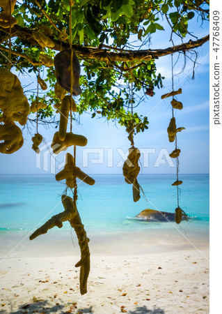 Turtle Beach, Perhentian Islands, Malaysia Turtle Beach, Perhentian Islands, Malaysia 47768409