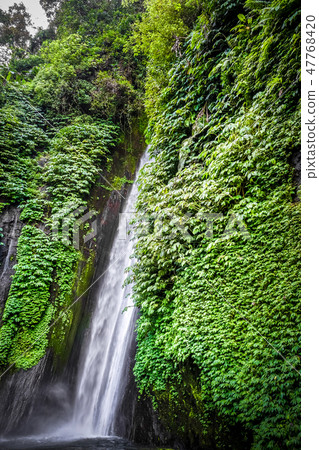 Red Coral Waterfall, Munduk, Bali, Indonesia 47768420