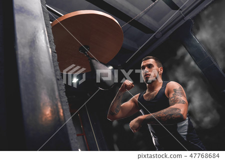 Born to win. Muscular tattooed athlete in sports clothing training hard on punching speed bag to Born to win. Muscular tattooed athlete in sports clothing training hard on punching speed bag to 47768684