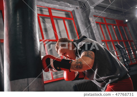 Keep climbing. Confident tattooed young boxer in red sports gloves training on heavy punch bag in Keep climbing. Confident tattooed young boxer in red sports gloves training on heavy punch bag in 47768731
