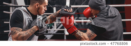Favourite punch. Close-up of muscular athlete in red gloves training on boxing paws with partner in 47768806