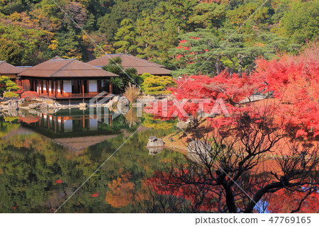 香川縣特別景區栗林公園“秋葉” 香川縣特別景區栗林公園“秋葉” 47769165