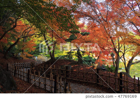 香川縣特別景區栗林公園“秋葉” 47769169