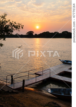 Sundown from Pantanal, Brazil Sundown from Pantanal, Brazil 47770164