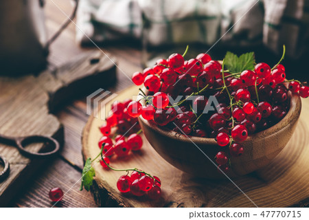 Fresh picked red currants 47770715