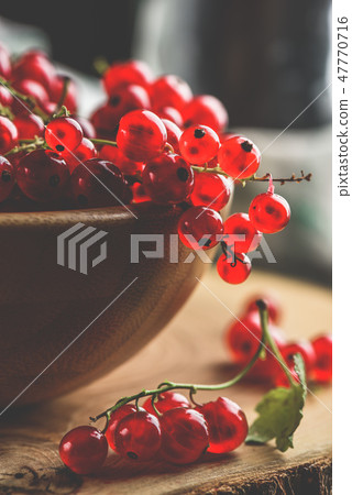 Fresh picked red currants 47770716