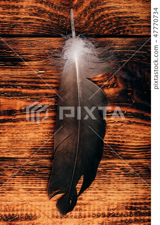 Hawk feather over wooden table 47770734