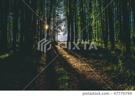 Rays of sunlight on footpath 47770799