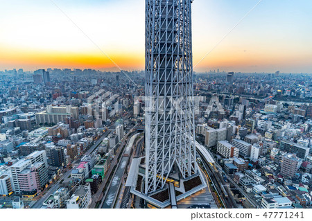 From the night sky tree sky tree East Tower [Tokyo] 47771241