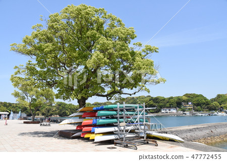 珍珠海度假村 47772455
