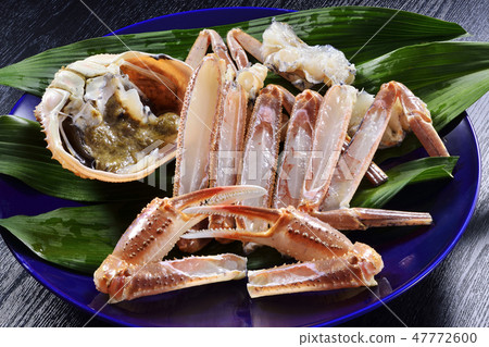 Lively Sewaikani 47772600