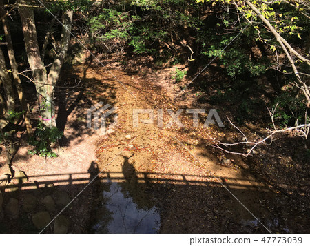 Landscape Morikawa Bridge 47773039