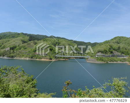 Lake Kuzuryu (May, 2018, spring, Ohno City, Fukui Prefecture) Lake Kuzuryu (May, 2018, spring, Ohno City, Fukui Prefecture) 47776829