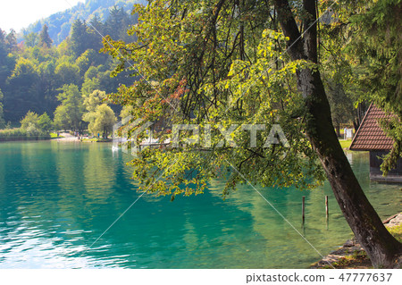 Lake Bled Lake Bled 47777637
