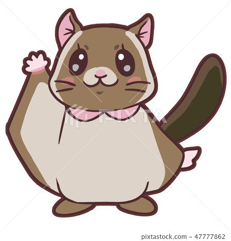 逗人喜愛的新鮮的淡菜1逗人喜愛的飛行灰鼠1 47777862