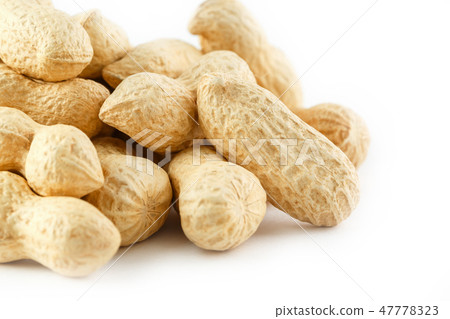 Peanuts. Two peeled nuts isolated on white back Peanuts. Two peeled nuts isolated on white back 47778323