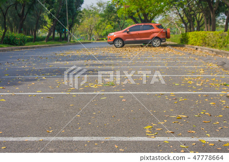 Empty car parking lot and yellow flowers falled. Empty car parking lot and yellow flowers falled. 47778664