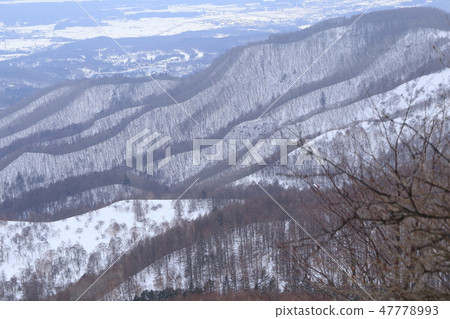 從長野縣的Tateshina山2100米附近看到的西南側 從長野縣的Tateshina山2100米附近看到的西南側 47778993