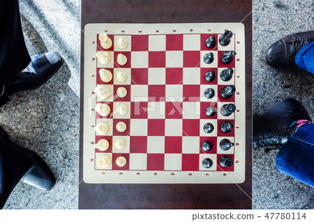 Look at the chess board before battle in an overhead view 47780114