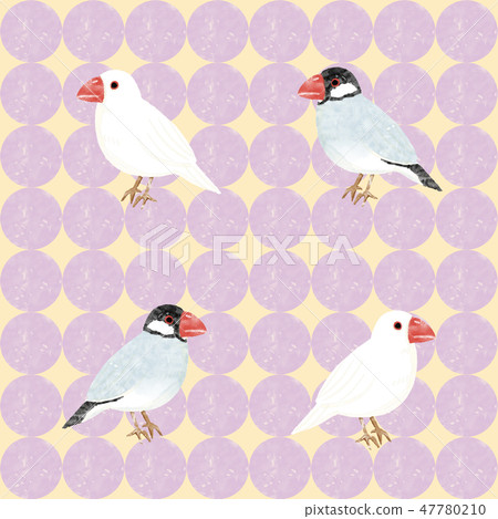 可愛的短語無縫 可愛的短語無縫 47780210