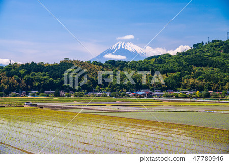 (靜岡縣)從Tanna山穀種植水稻的富士山 (靜岡縣)從Tanna山穀種植水稻的富士山 47780946