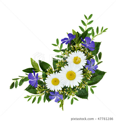 Wild flowers bouquet 47781286