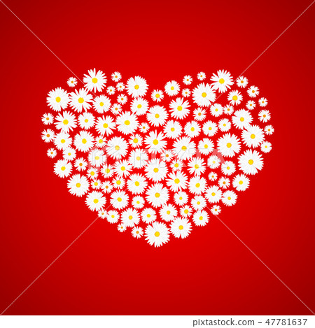 Heart Valentines day card. White daisies on red background. Wedding invitation card template, Love Heart Valentines day card. White daisies on red background. Wedding invitation card template, Love 47781637