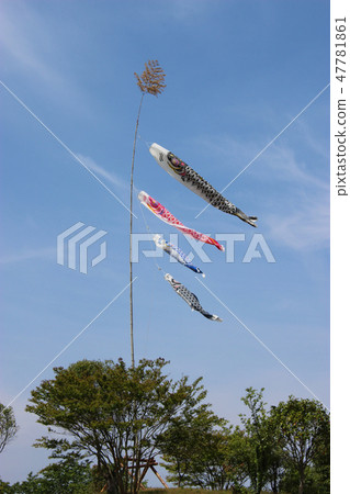 Koinobori飛行在藍天 Koinobori飛行在藍天 47781861