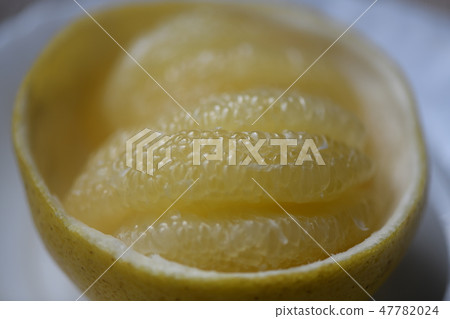 新鮮的句子 47782024