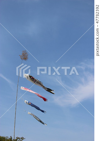 Koinobori flying in the blue sky 47782392