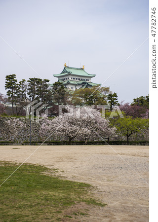 春天名古屋城堡 47782746